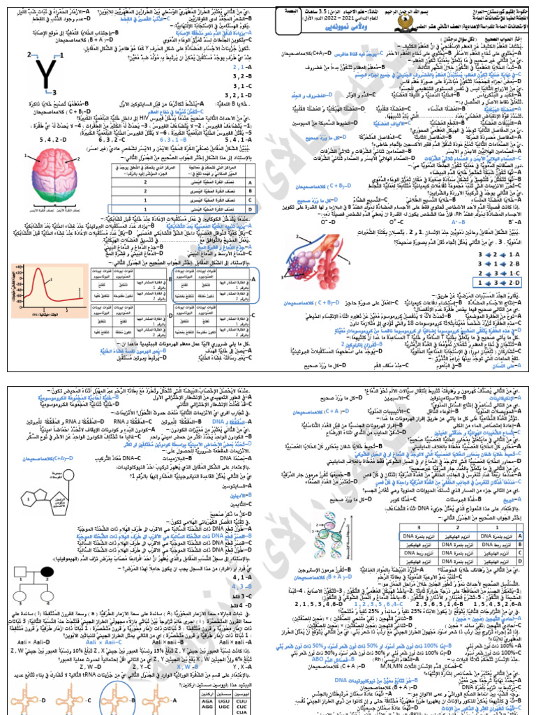 Biology Final Exam Arabic (Copy) | PDF