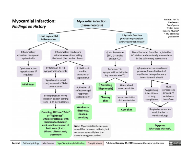 Myocardial Infarction Pathophy | PDF