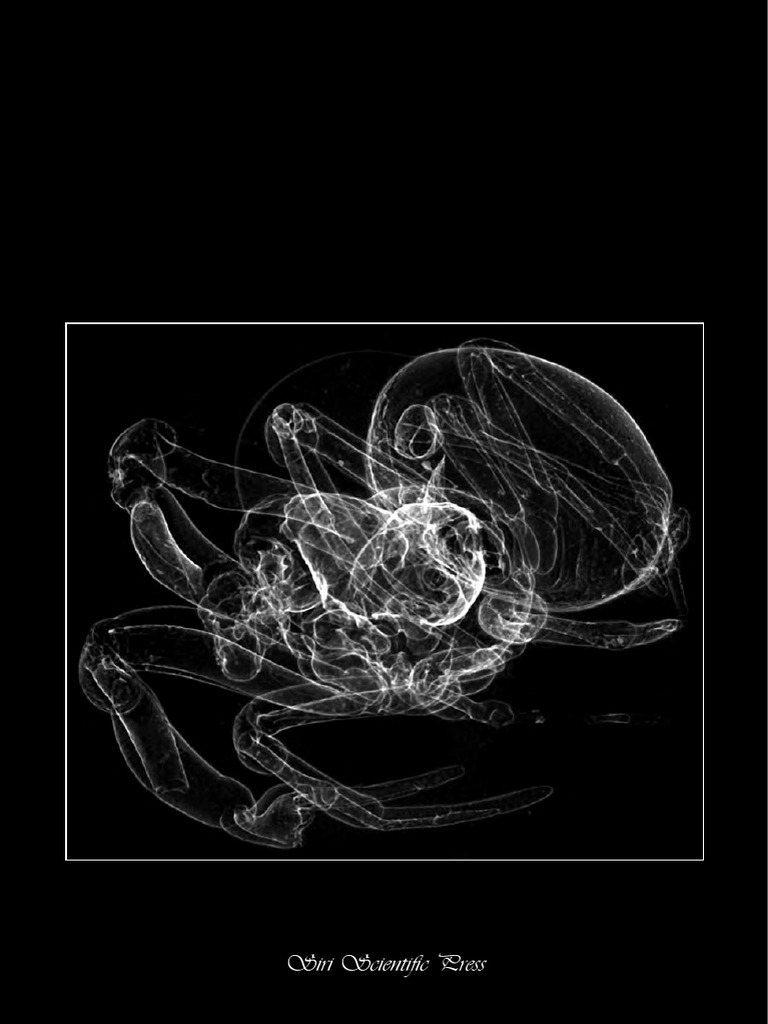 Ent Agnarssonetal2013 SpiderSystematics 21stCenturyHighRes | PDF | Dna ...
