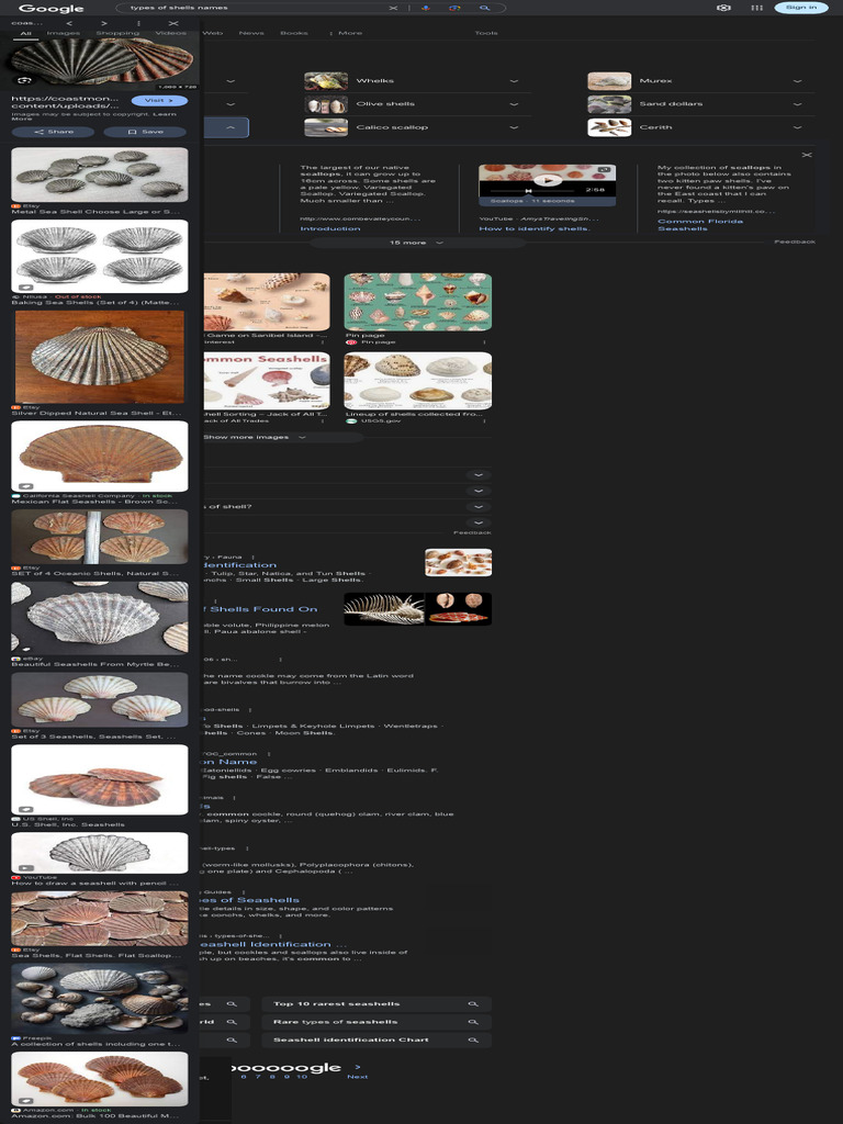 Types of Shells Names - Google Search | PDF | Molluscs