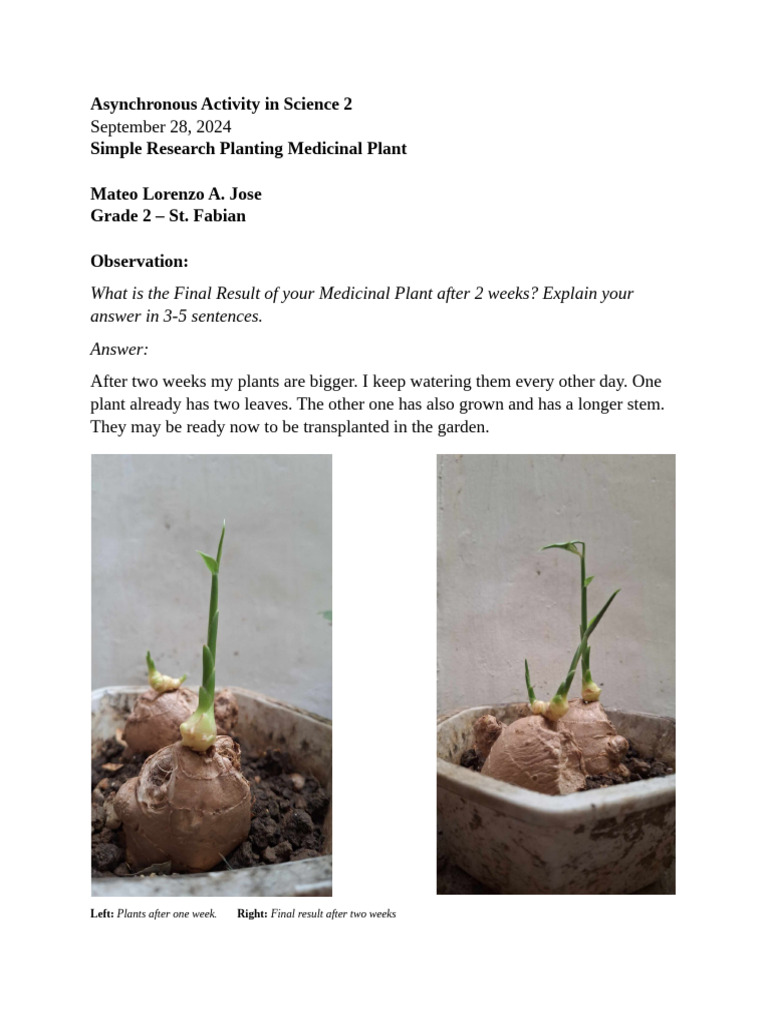 Asynchronous Activity in Science 3 | PDF