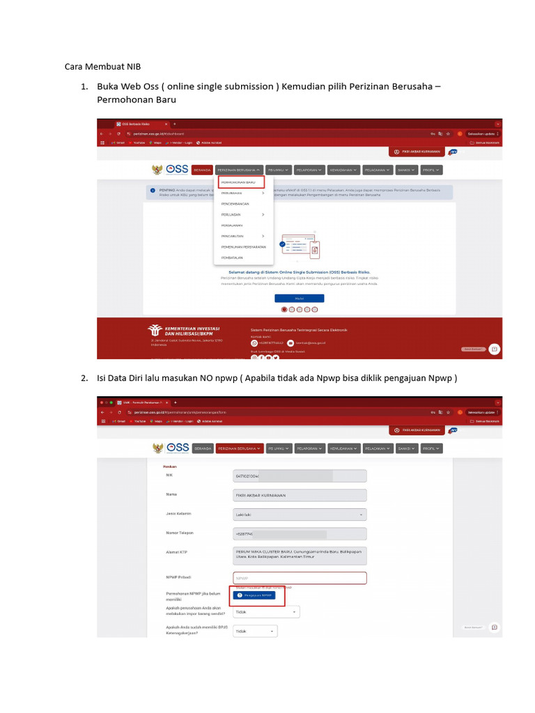 Panduan Lengkap Membuat NIB Online | PDF