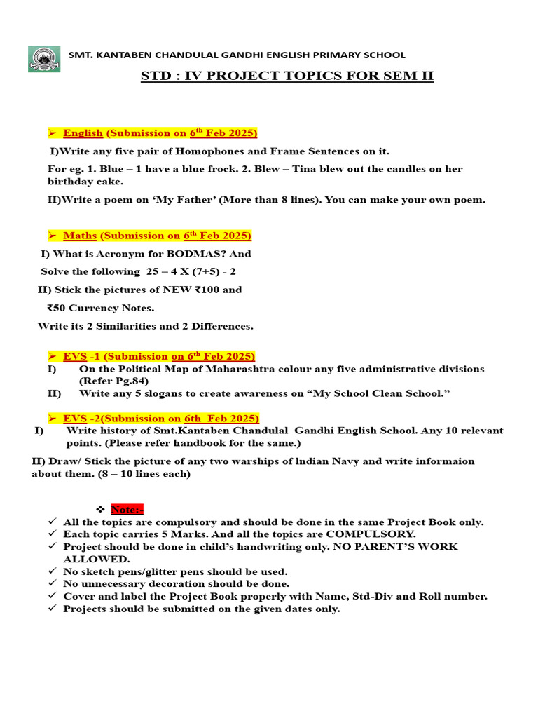 Grade 4 Project Guidelines 2025 | PDF