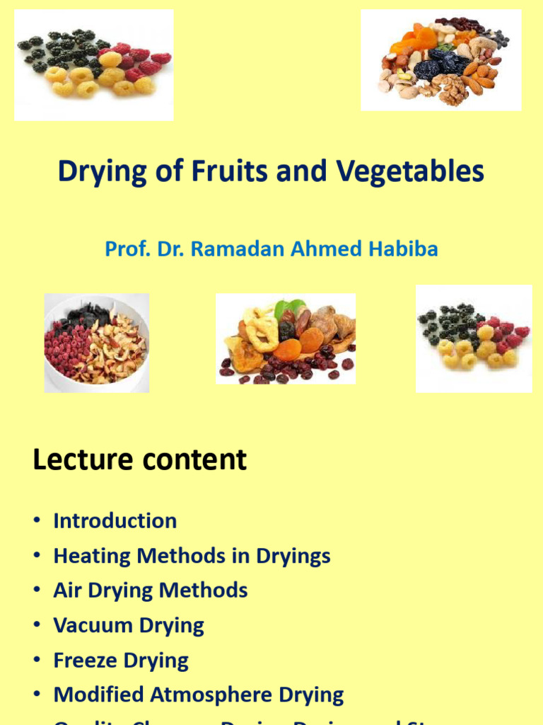 Drying of Fruits and Vegetables PDF | PDF | Heat Transfer | Clothes Dryer