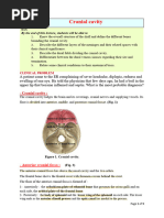Dural Folds and Their Functions | PDF | Human Anatomy | Human Head And Neck