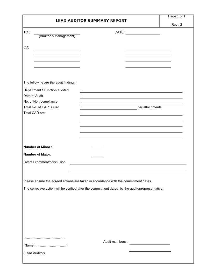 Lead Auditor Summary Report | PDF