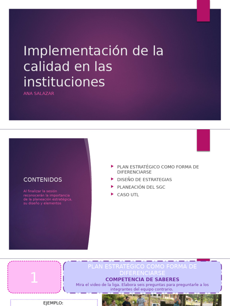 Implementación de La Calidad en Las Instituciones | PDF | Planificación ...