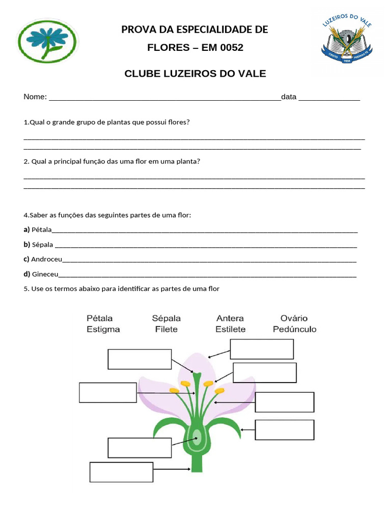 Prova de Especialidade em Flores | PDF