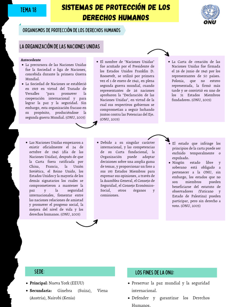 Tema 18 Sistemas de Protección de Los Derechos Humanos | PDF | Naciones ...
