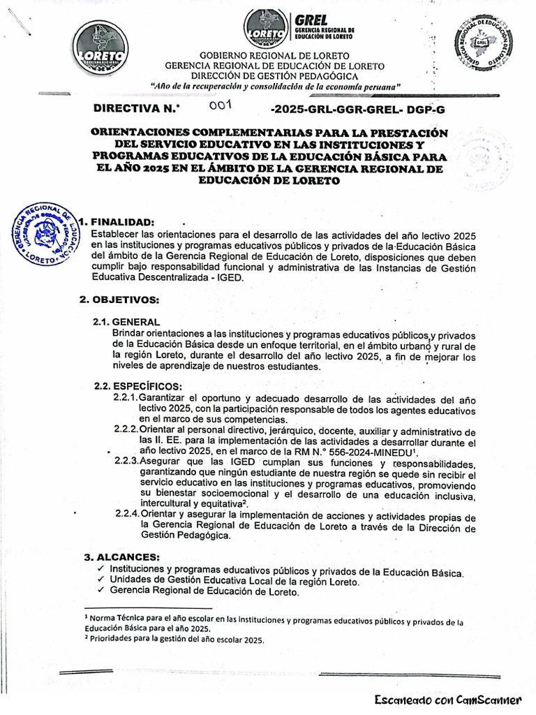 DIRECTIVA | PDF