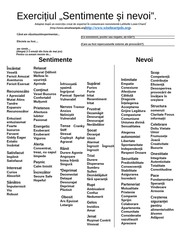 Exercițiul Sentimente Și Nevoi | PDF