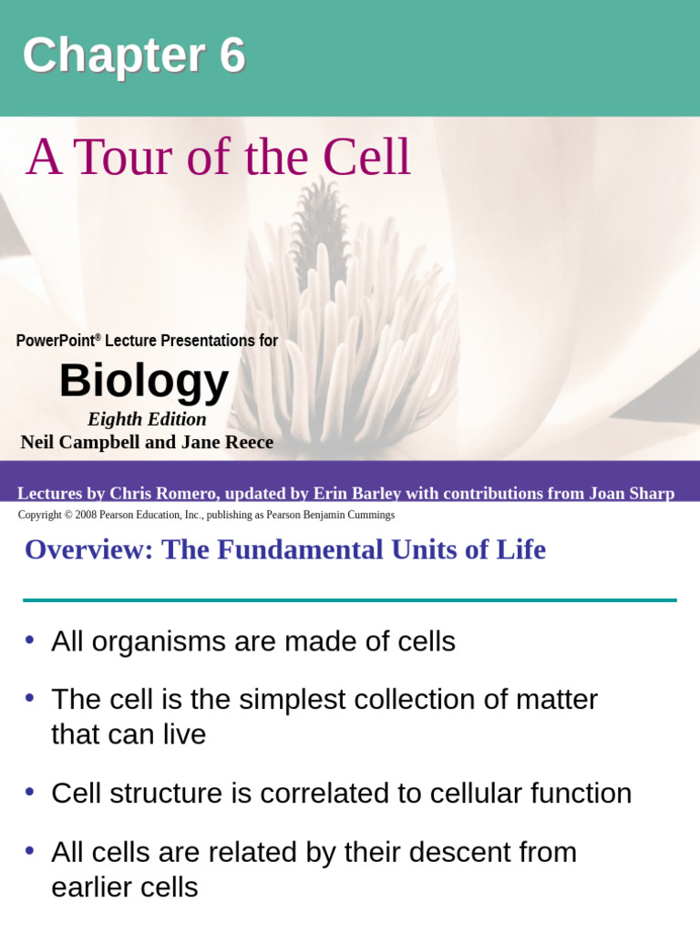 Chapter 6. A Tour of The Cell | PDF | Endoplasmic Reticulum | Cell Nucleus