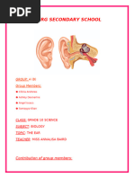 Anatomy and Function of the Human Ear | PDF | Ear | Hearing