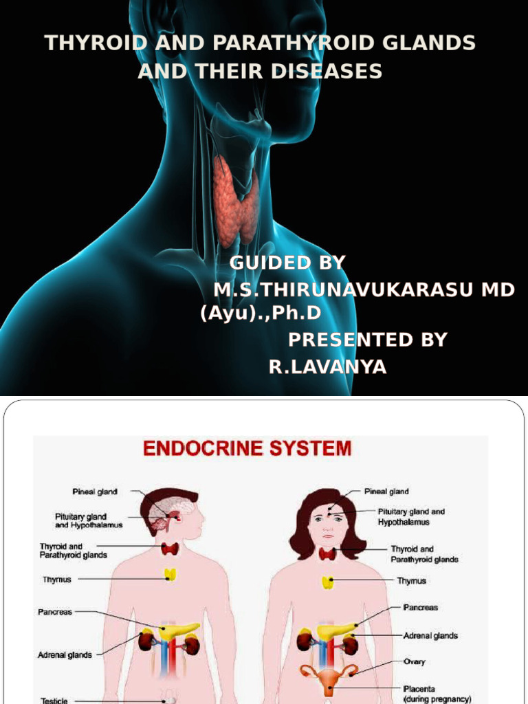Thyroid and Parathyroid Diseases | PDF | Thyroid | Hyperthyroidism