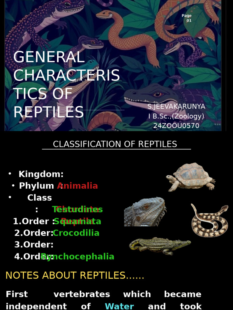 General Characteristics Of Reptiles