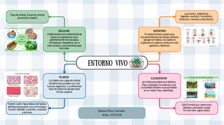 Mapa Mental Entorno Vivo - 20241003 - 161922 - 0000 | PDF | Biología ...