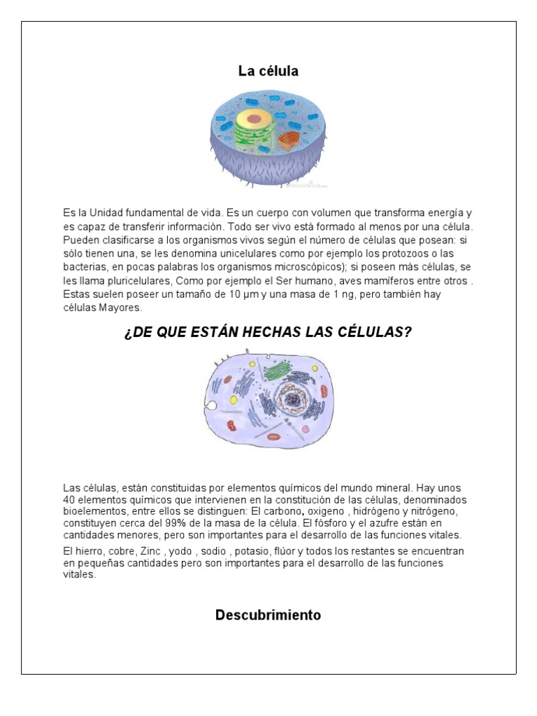 La célula: ¿De Que Están Hechas Las Células? | Eucariotas | Biología