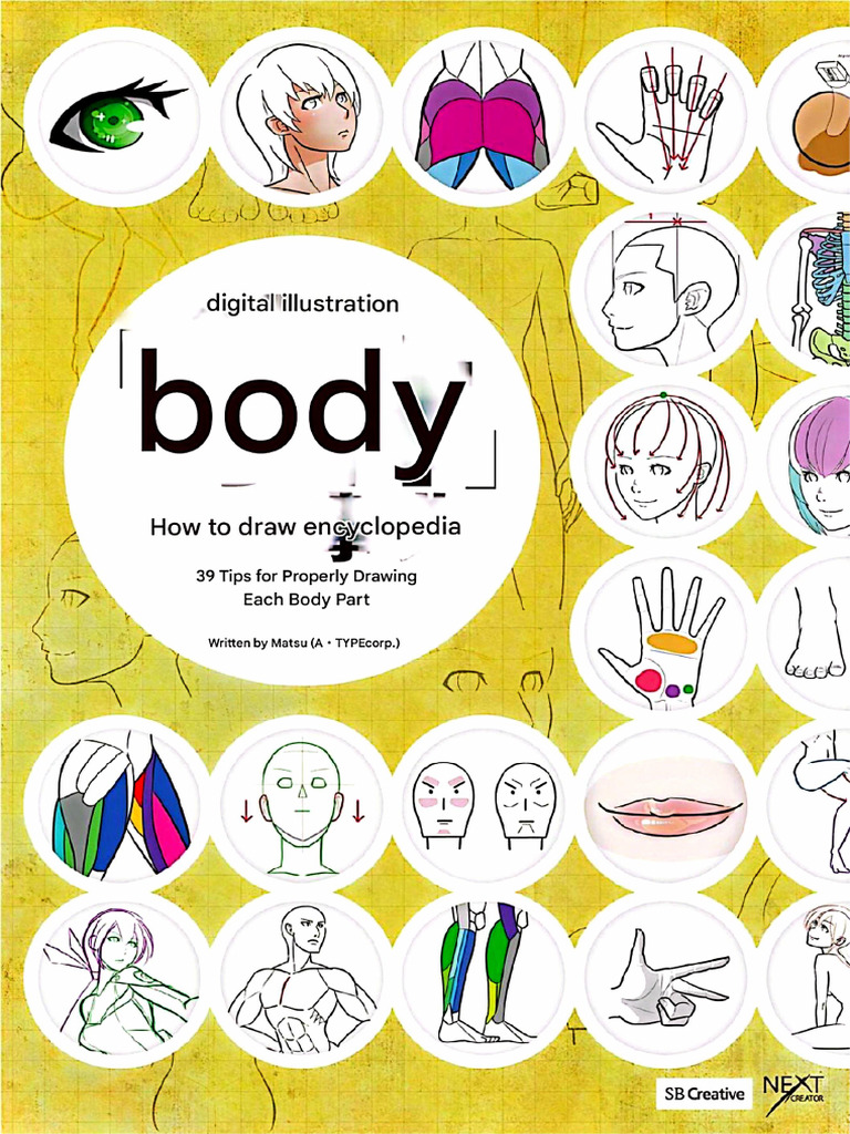 Body Anatomy | PDF