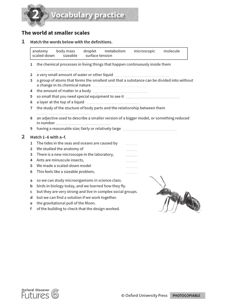 ODF6 Unit 2 Vocabulary Practice | PDF | Earth | Moon