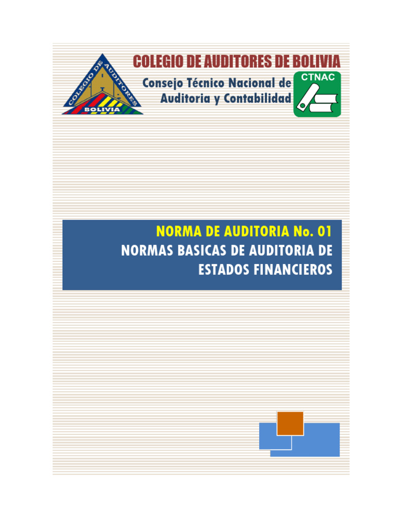 Normas Básicas de Auditoría Financiera | PDF | Auditoría | Contralor