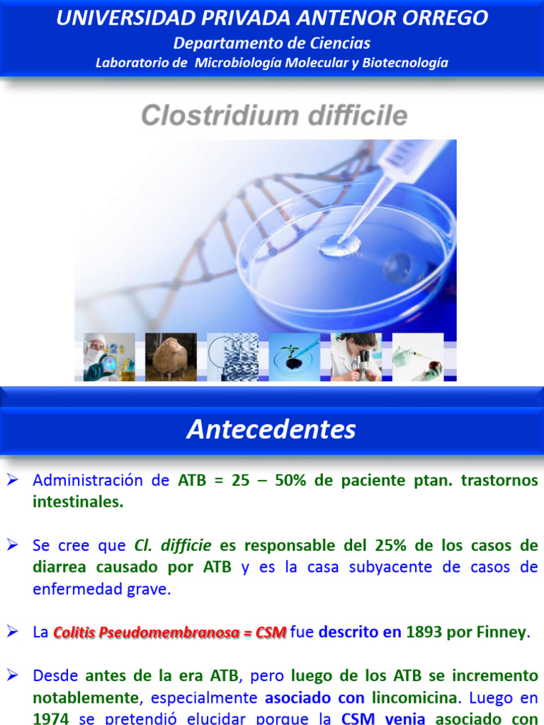 Clostridium difficile: Patogenia y Tratamiento | PDF | Diarrea