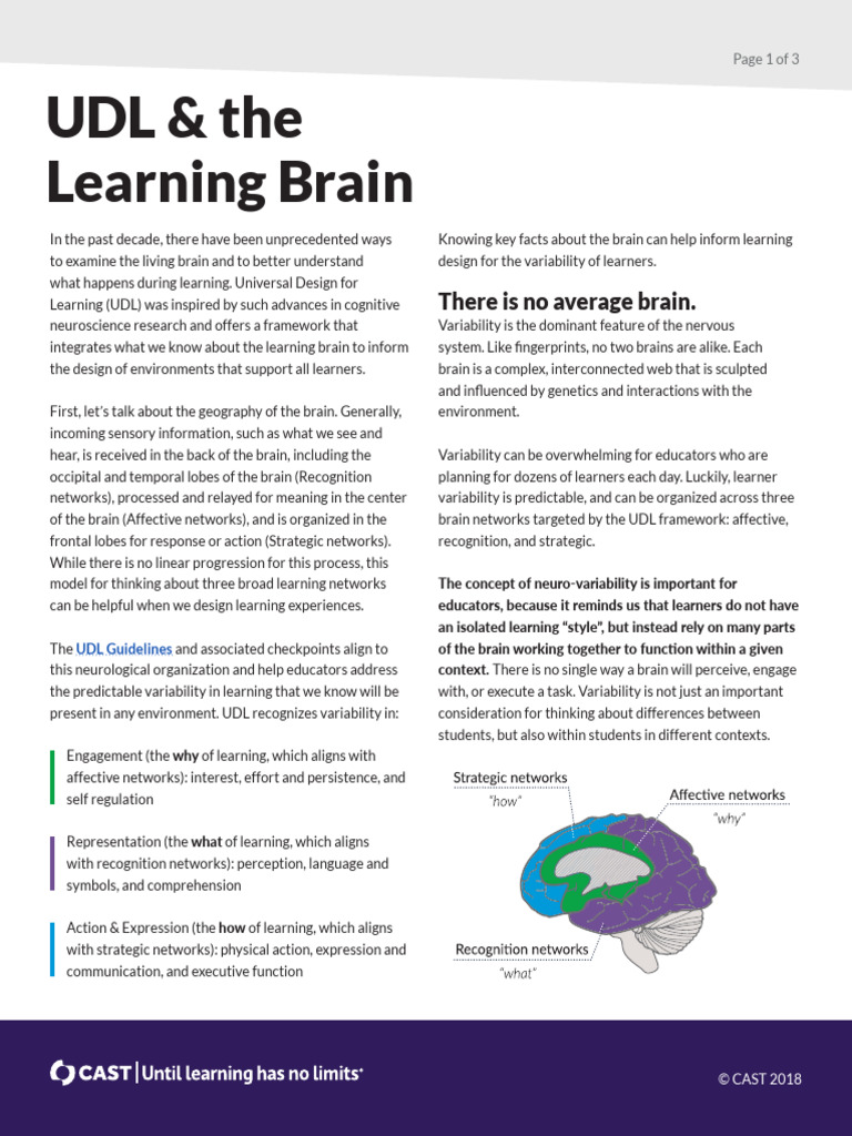 Brain Pdf Learning Brain