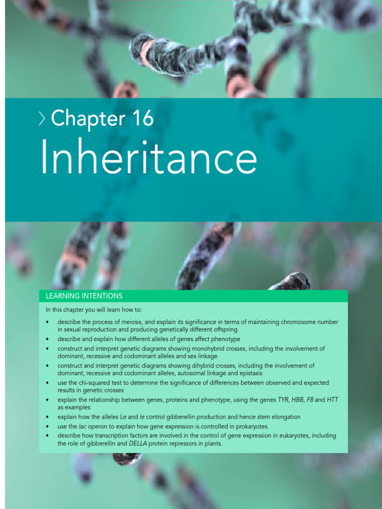 A 16 Inheritance - Book | PDF | Meiosis | Mitosis