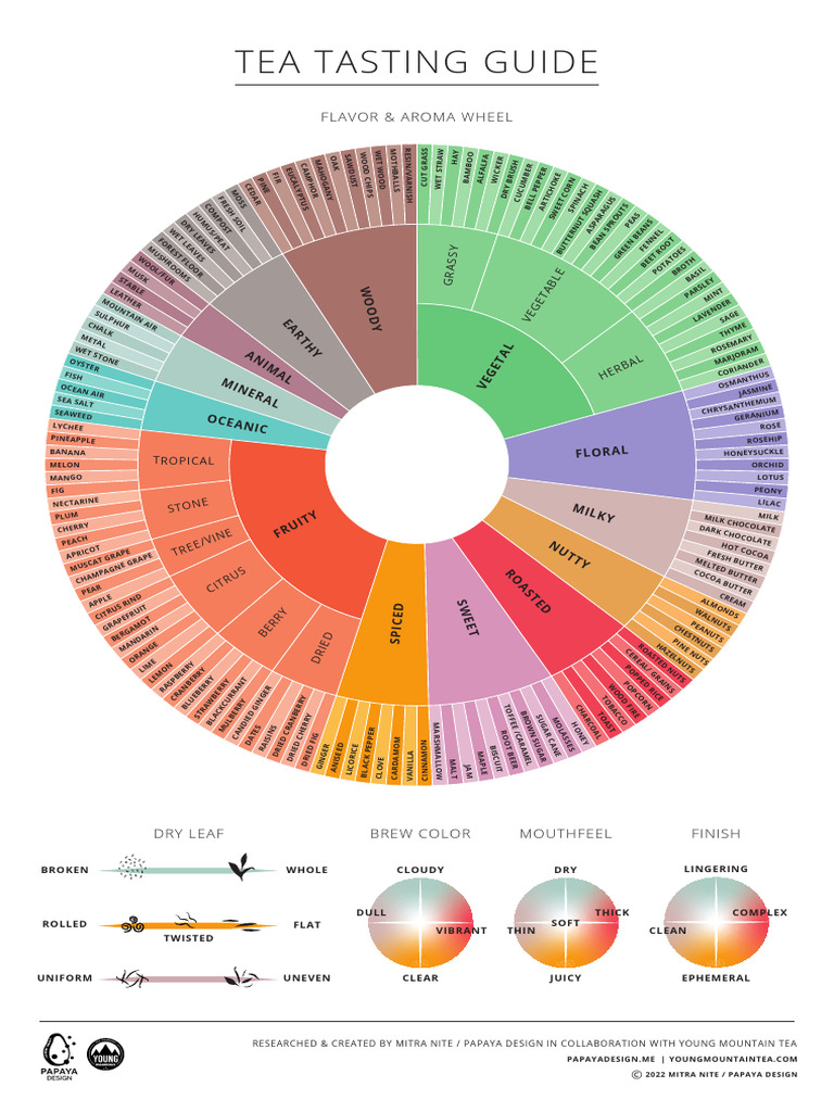 Comprehensive Tea Tasting Guide | PDF