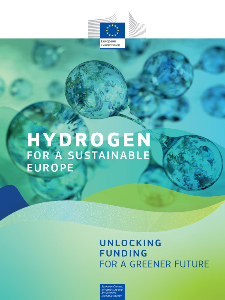 Hydrogen For A Sustainable Europe | PDF | Climate Change Mitigation ...