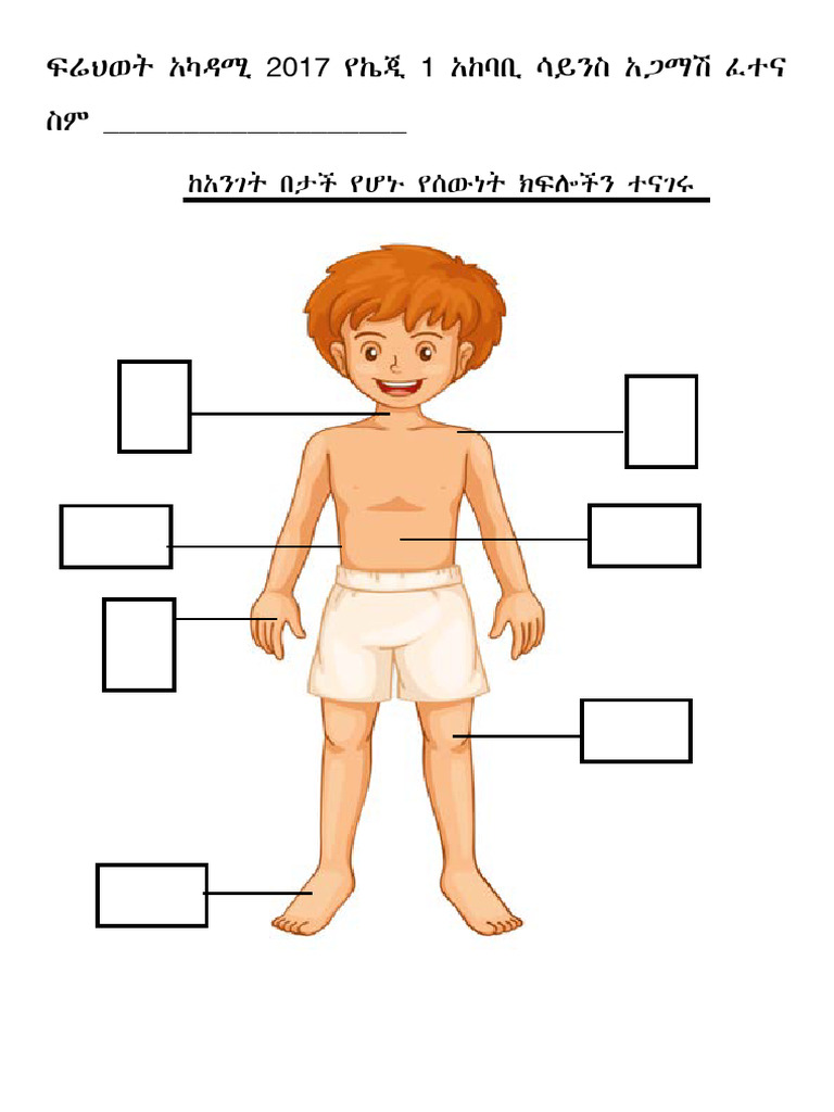 Name Body Parts Exam | PDF