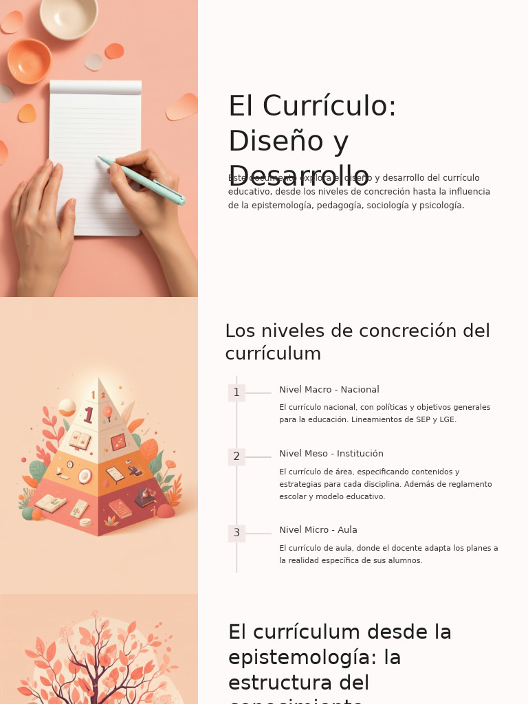 El Curriculo Diseno y Desarrollo | PDF | Plan de estudios | Pedagogía