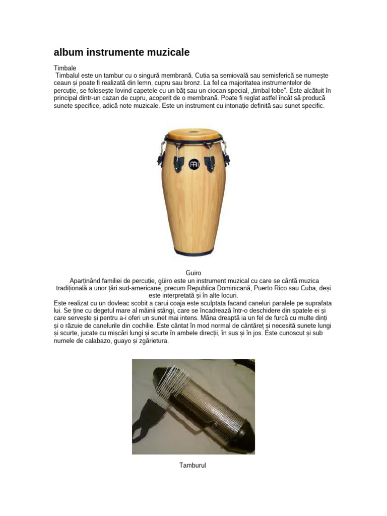 Album de Instrumente Muzicale | PDF