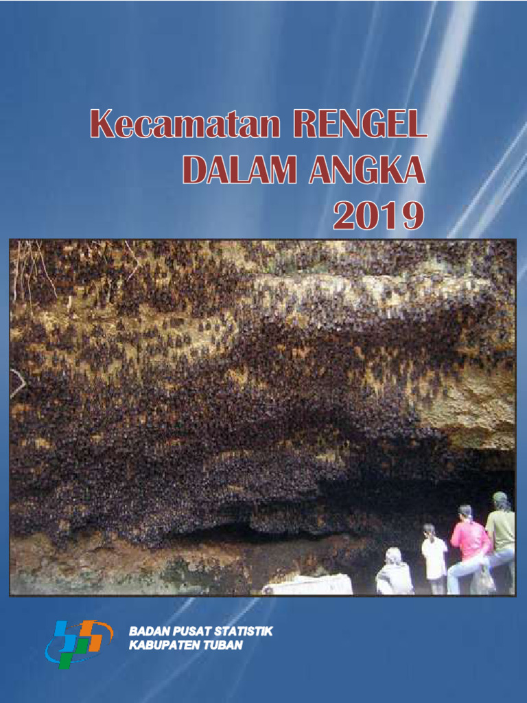 Statistik Kecamatan Rengel 2019 | PDF