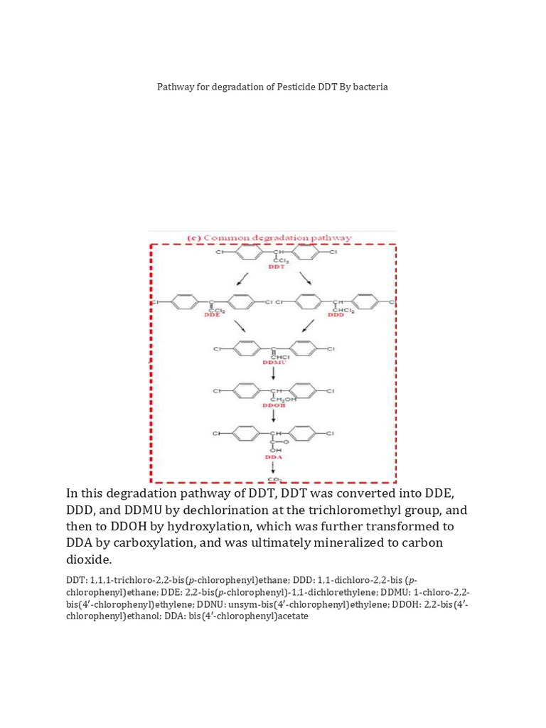 Pesticides Degradation | PDF