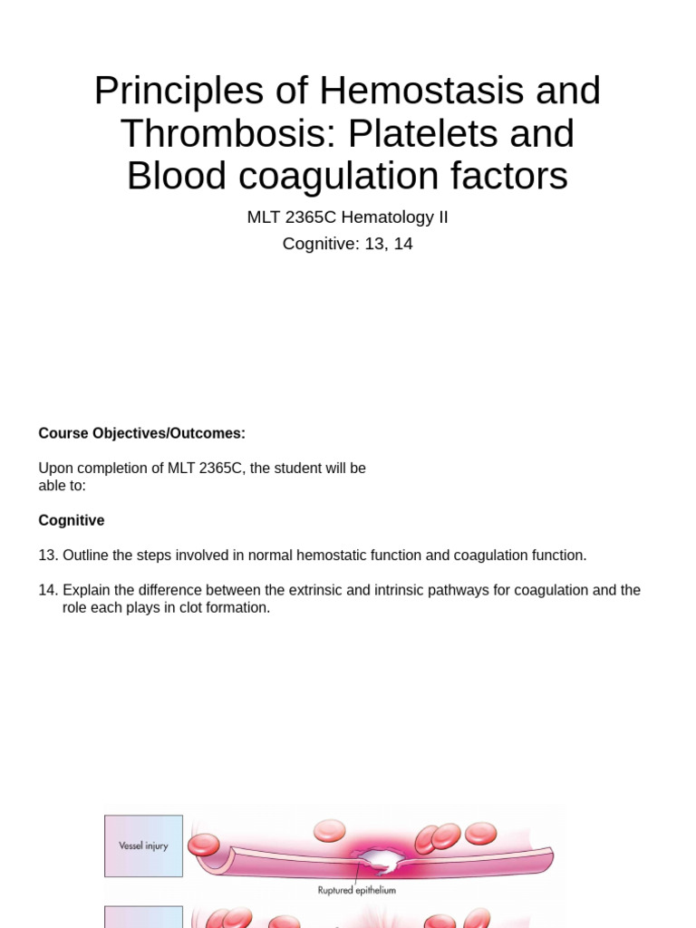 Hemostasis and Thrombosis Overview | PDF | Coagulation | Platelet