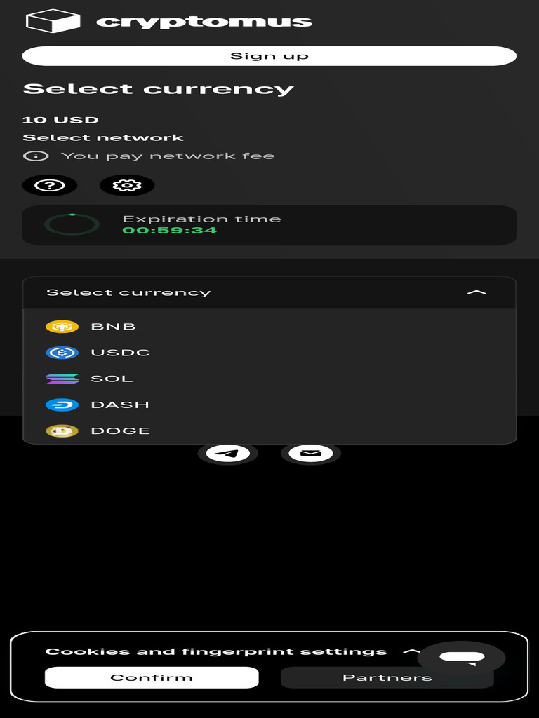 Cryptomus Pay | PDF