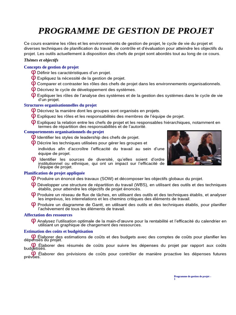 Gestion de Projet : Techniques et Stratégies | PDF | Gestion de projet ...