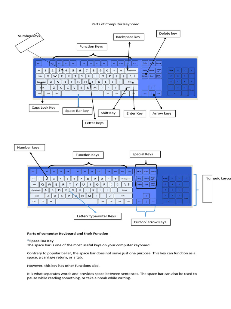 Parts of Computer Keyboard | PDF | Computer Keyboard | Text