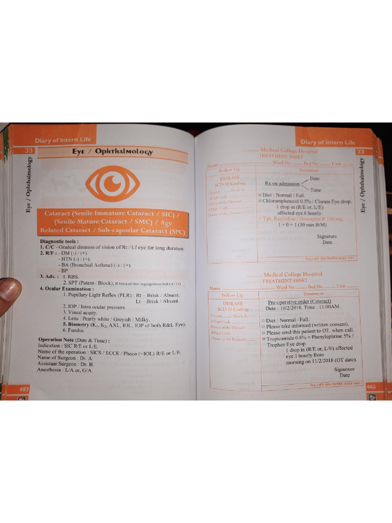Eye | PDF