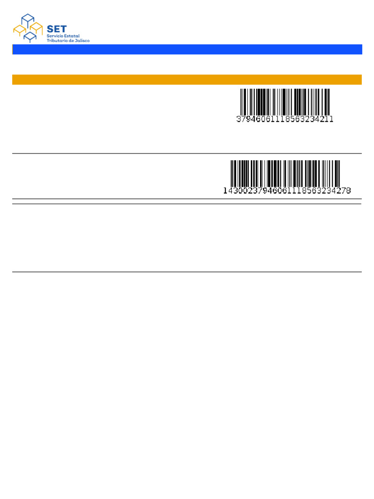 FormatoPago 36956439 | PDF