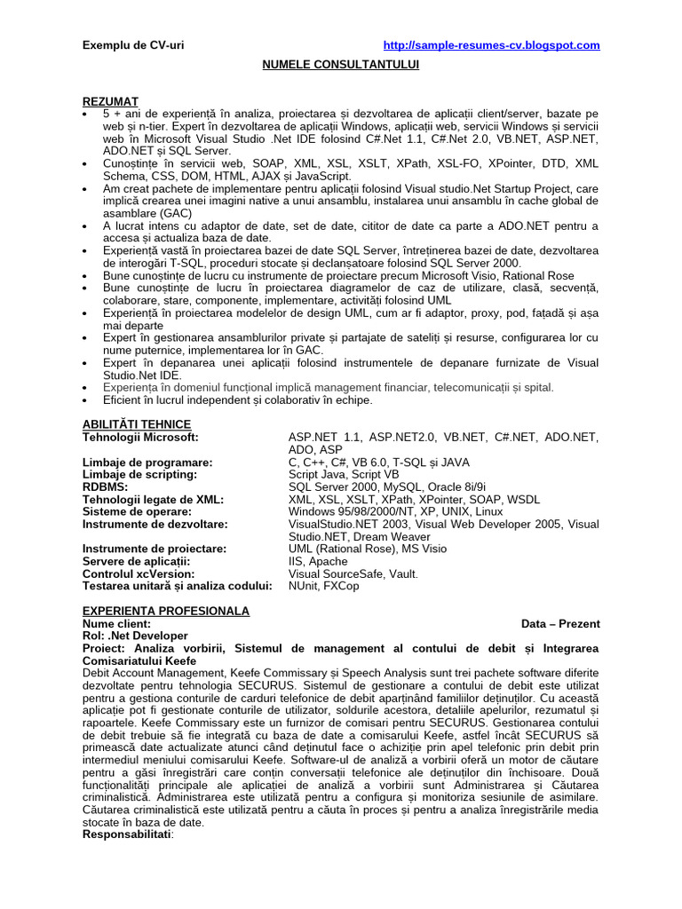 Programator Dot Net / Programator .Net - Exemplu de CV - Curriculum ...