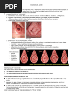 Understanding Defloration and Hymenal Injury | PDF | Vagina | Virginity