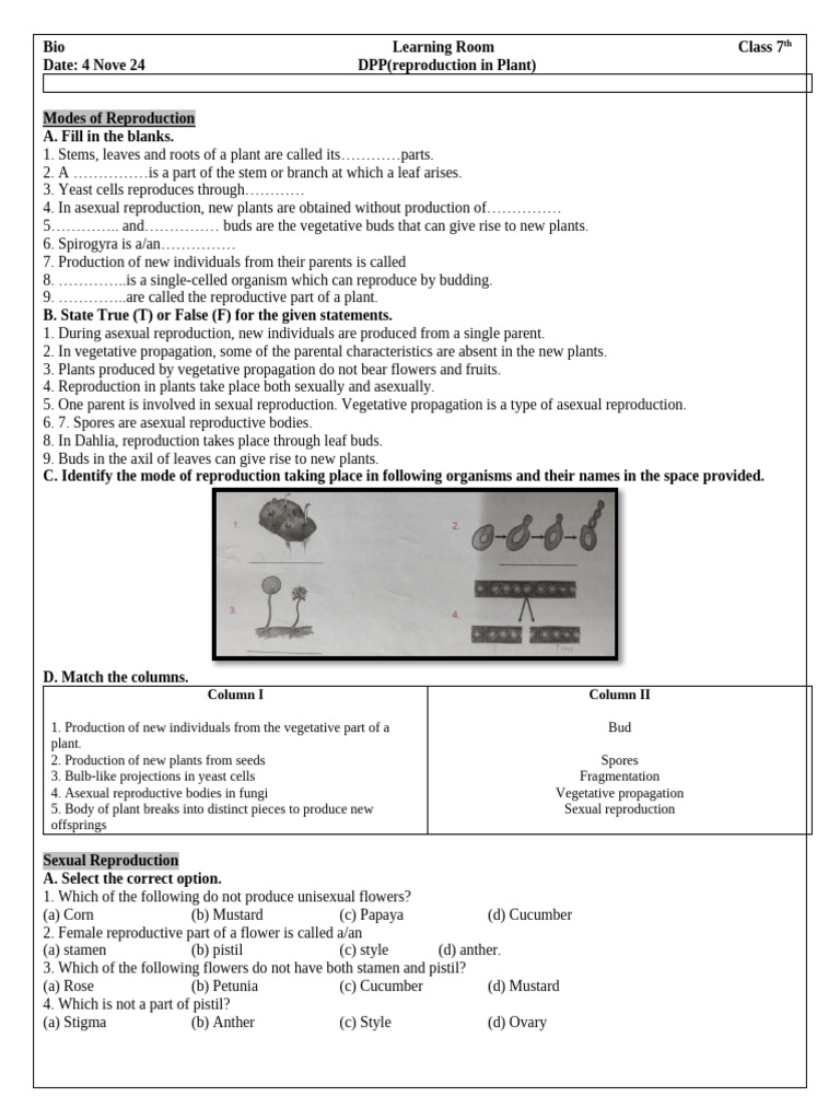 Plant Reproduction Methods for Class 7 | PDF | Flowers | Reproduction