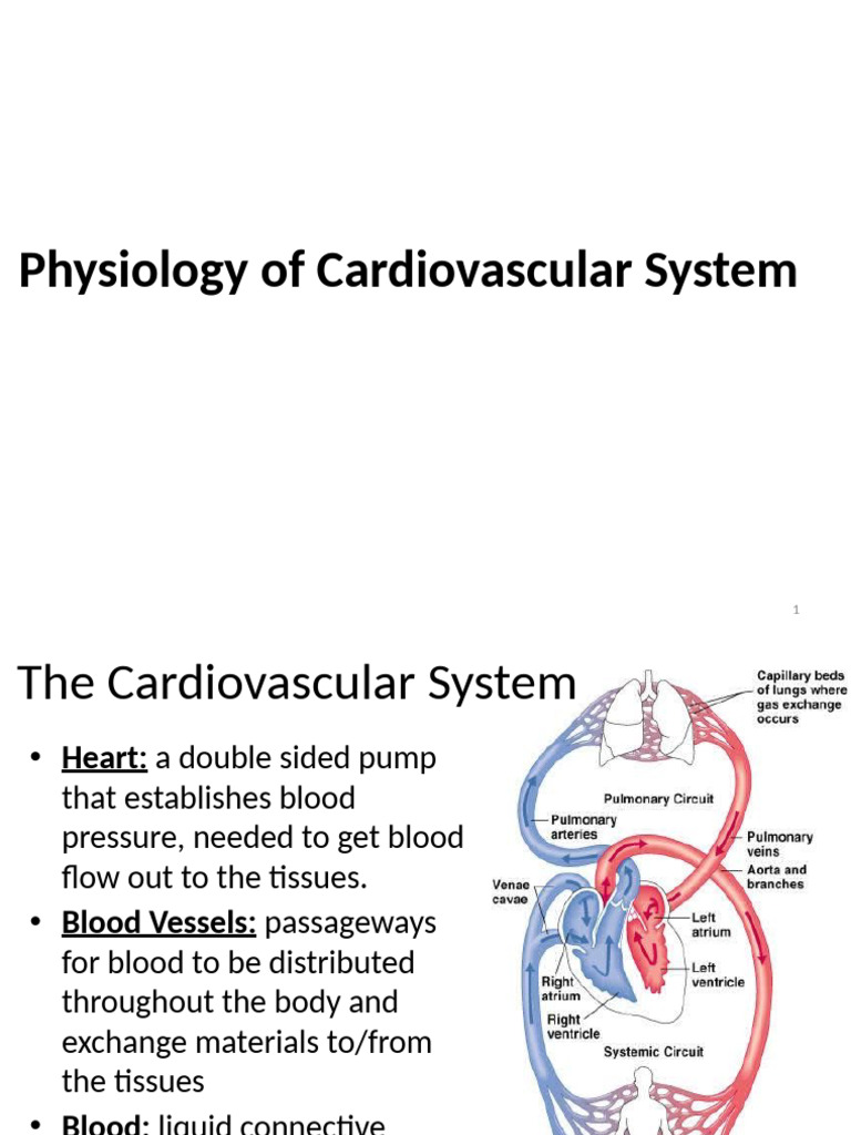 5) Physiology of Cardiovascular System | PDF | Heart Valve | Diastole