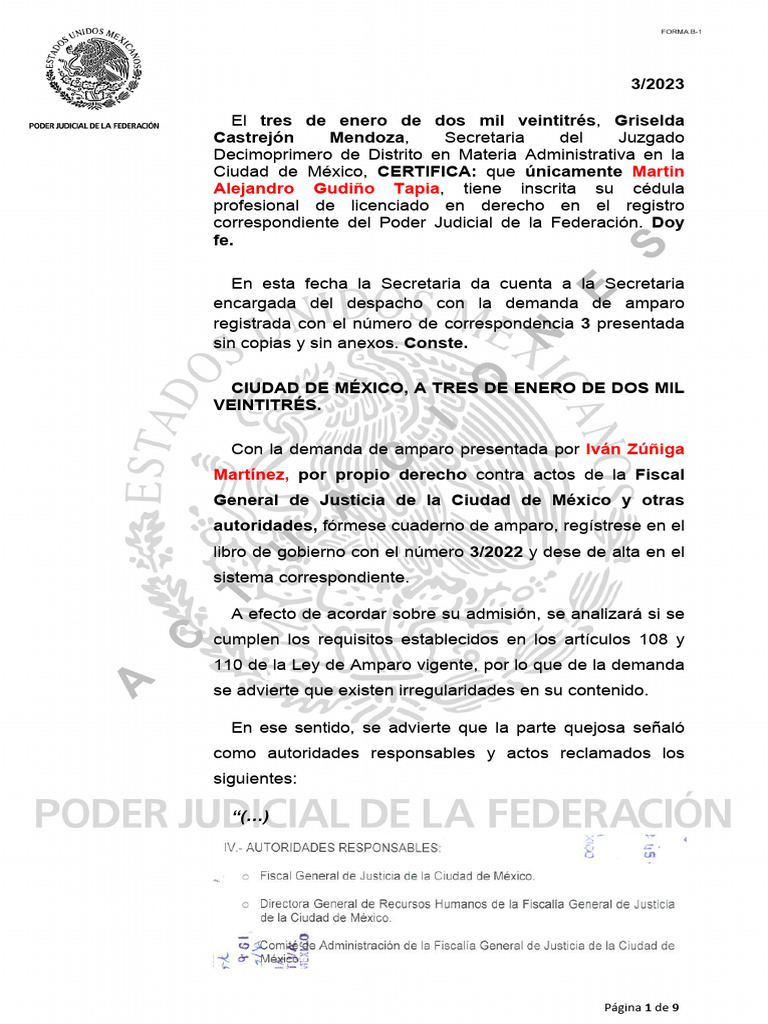 Requisitos para Demanda de Amparo 2023 | PDF | Caso de ley | Demanda ...