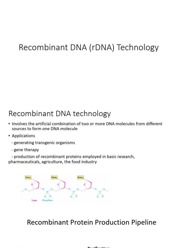 Overview of Recombinant DNA Technology | PDF | Recombinant Dna ...