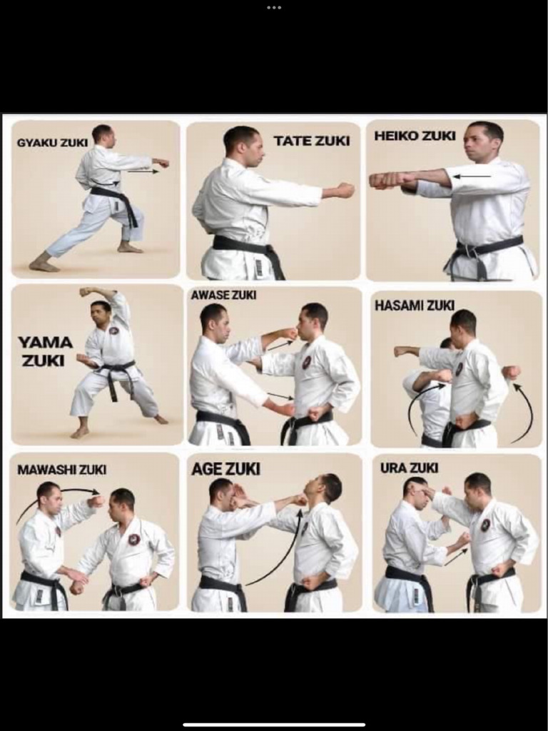 Shotokan Karate Basics | PDF