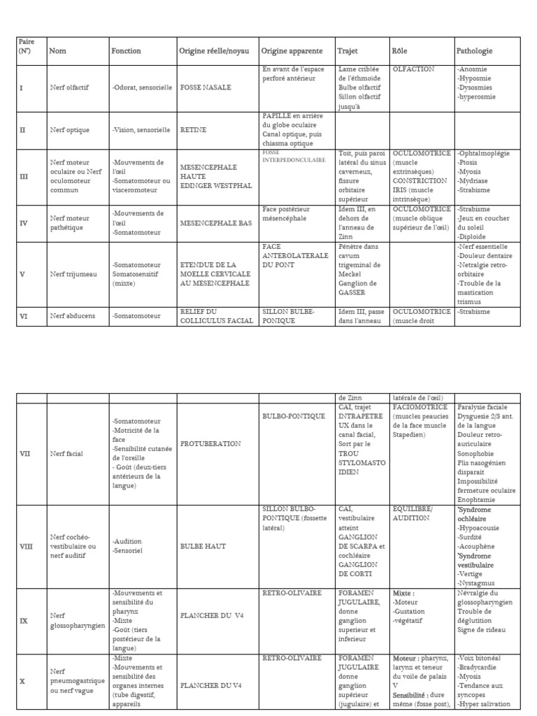paires-cr-niennes-et-leurs-fonctions-pdf-anatomie-humaine-t-te-et