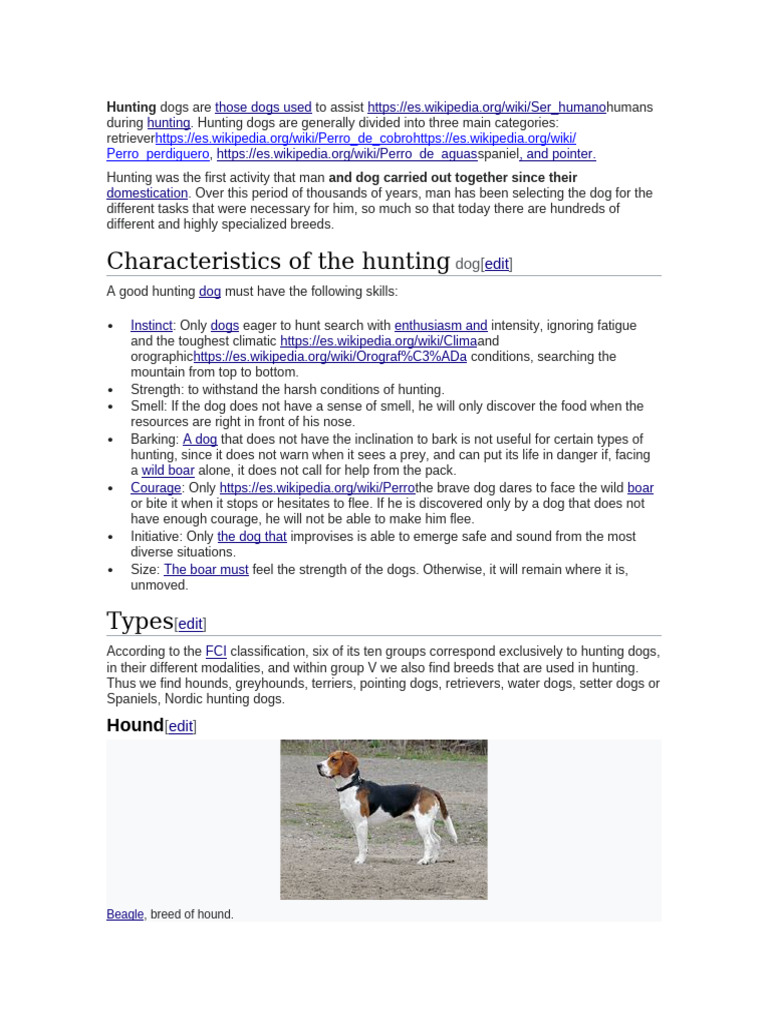 hunting dogs | PDF | Hunting | Dogs