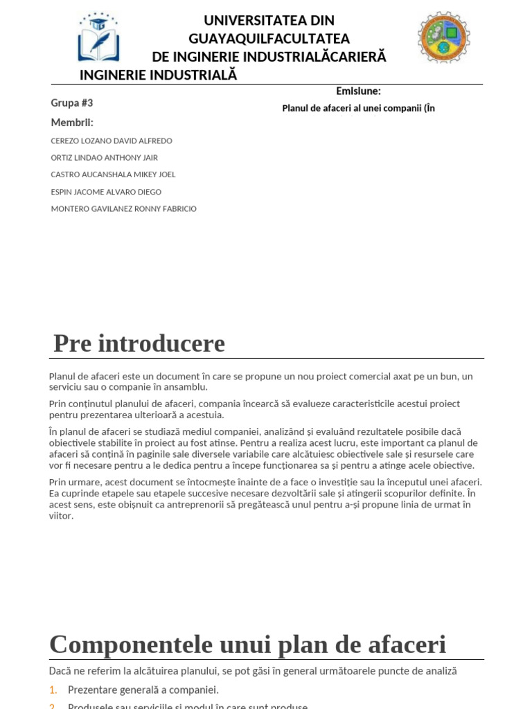 Planul de Afaceri Al Unei Companii (În Baloane) | PDF